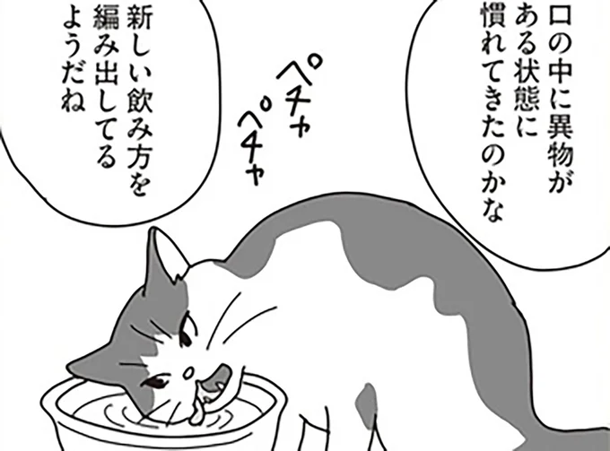 新しい飲み方を編み出してる