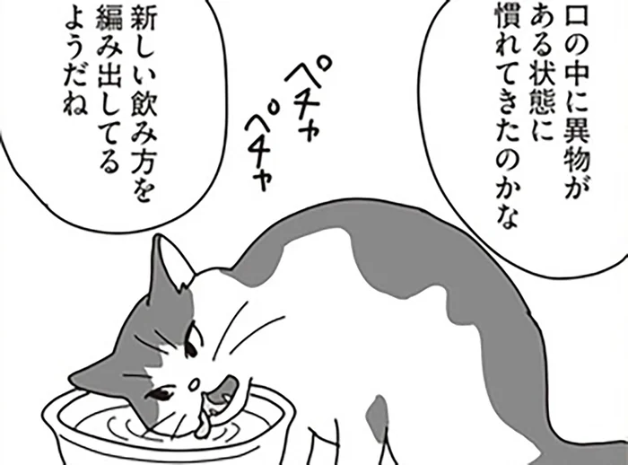 口内のガンが進行していく愛猫。夫婦で続けた食事の工夫／世界一幸せな飼い主にしてくれた猫（15）