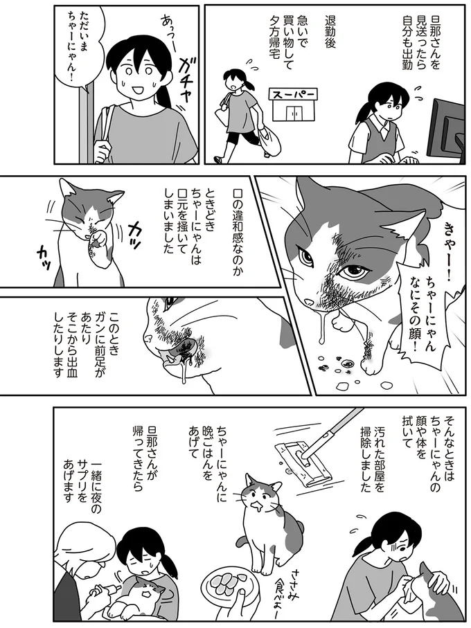 きゃー!ちゃーにゃん なにその顔!