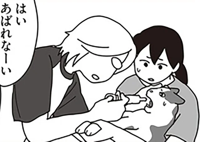 すべては闘病中の愛猫のために。朝5時からの看病とよだれ対策／世界一幸せな飼い主にしてくれた猫（16）