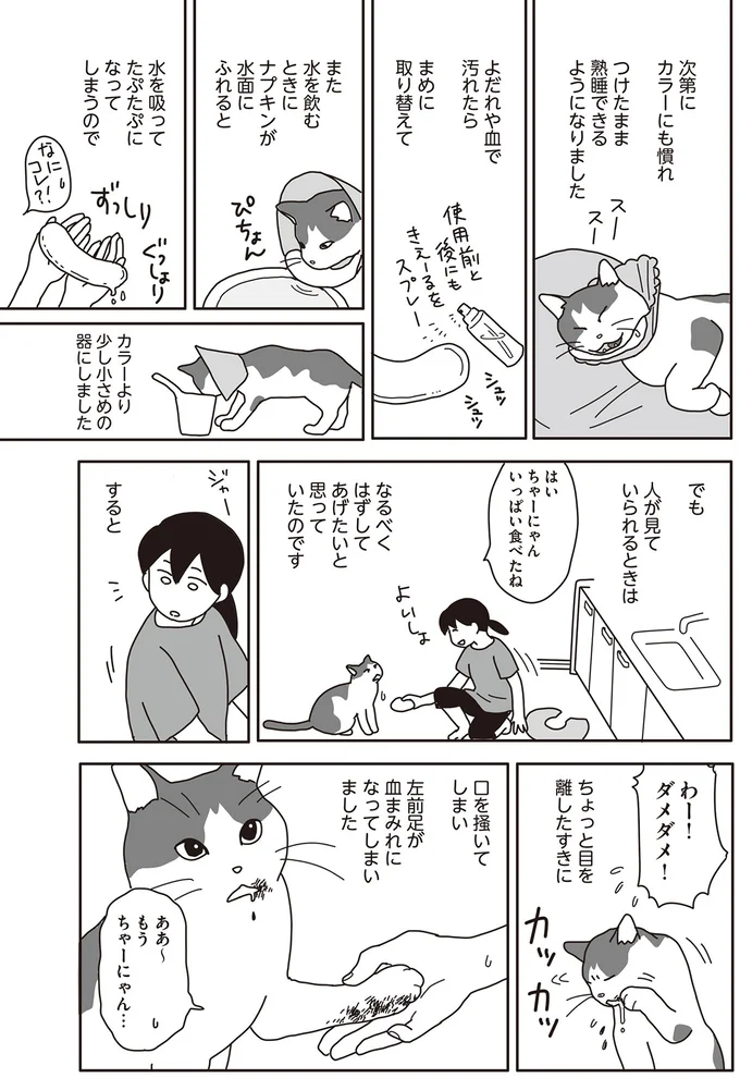 わー!ダメダメ!