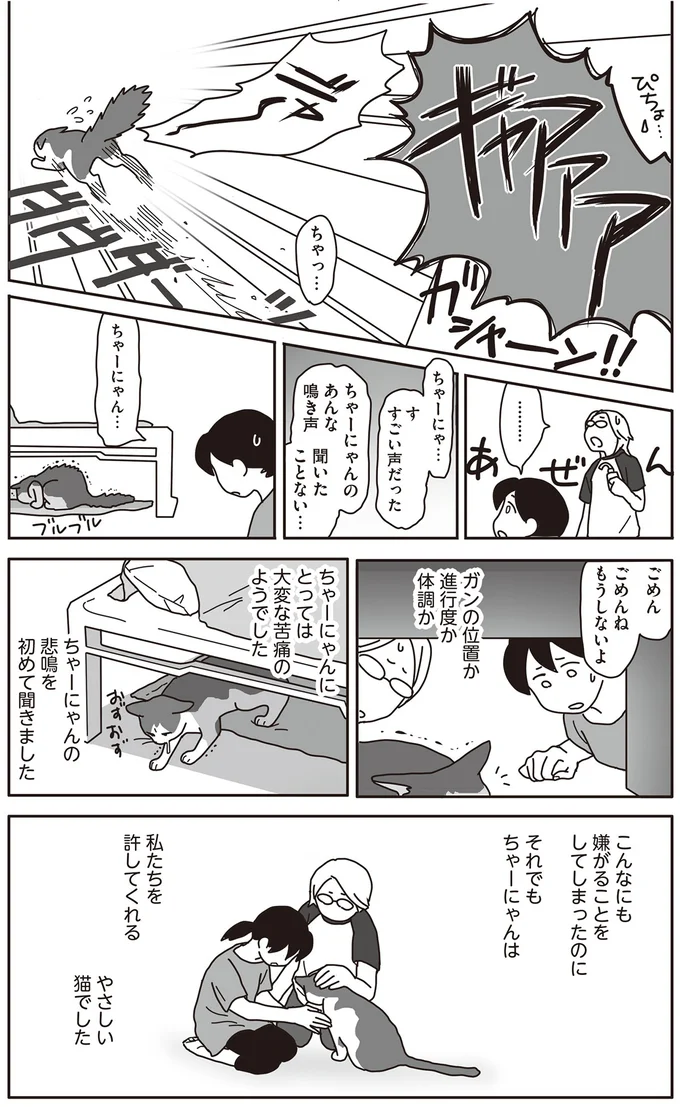 ごめん ごめんね もうしないよ