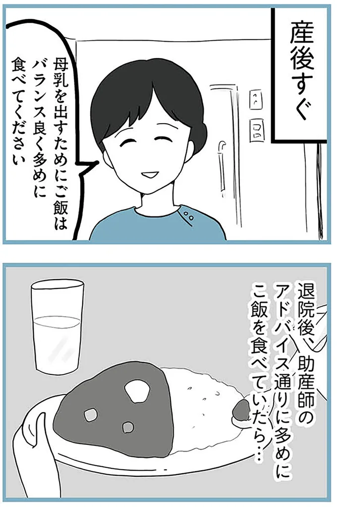 『モラハラ夫討伐日記 ～「今日からお前は奴隷だから」で始まった結婚生活を、離婚裁判で終わらせた話～』より