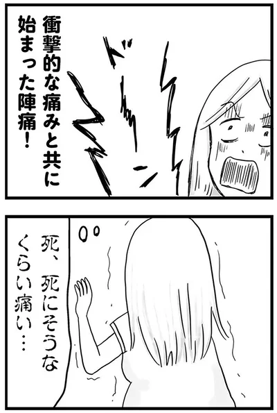 『モラハラ夫討伐日記 ～「今日からお前は奴隷だから」で始まった結婚生活を、離婚裁判で終わらせた話～』より