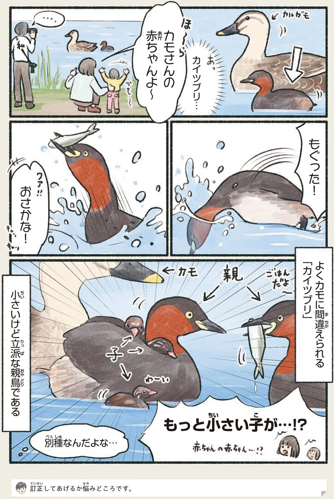 『意外と知らない鳥の生活』より