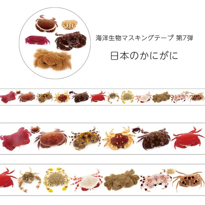 こんなかわいいグッズも！▶穴の中には…（⇒次へ）