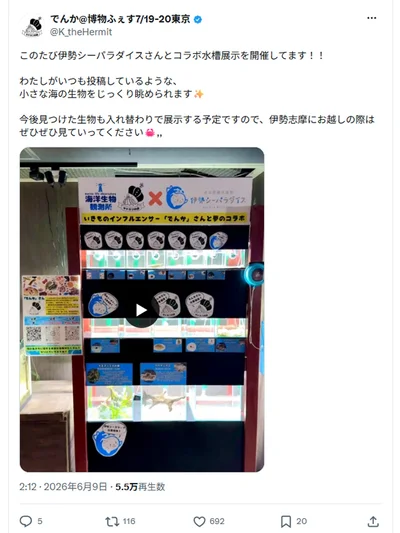 「伊勢シーパラダイス」の様子▶イソクズガニの赤ちゃん（⇒次へ）
