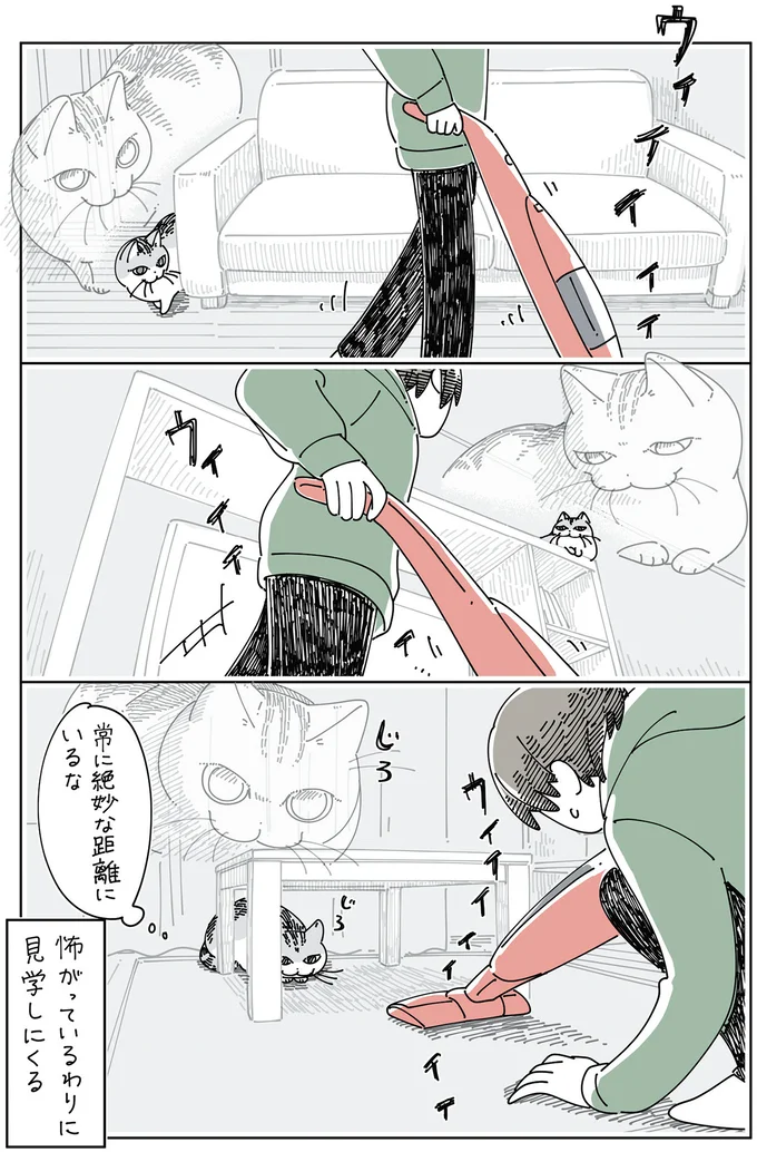 怖がっているわりに