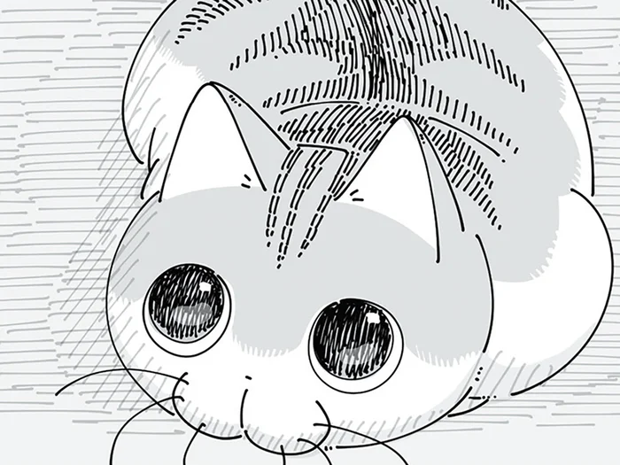 目が泳ぎまくってますね。イタズラをした自覚のあるネコの上目遣い