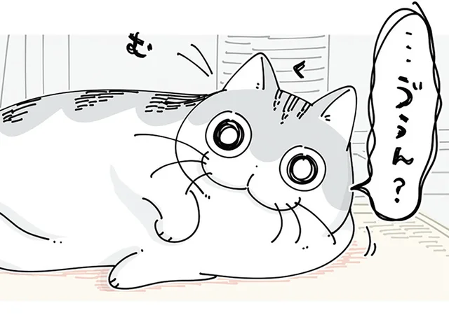 広がって眠る、ホットカーペットの上のネコ。目が合うと寄ってきてくれて