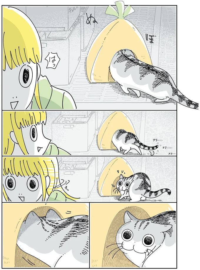 片付けようとしたのに