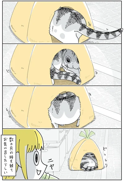 数か月の時を経て