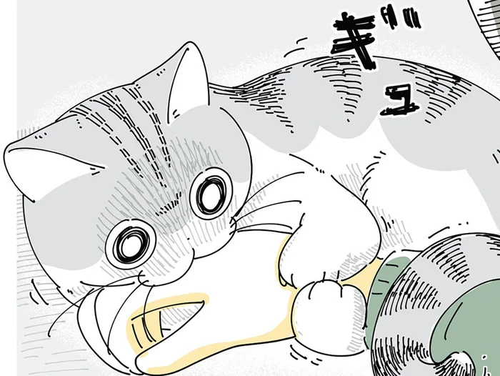 飼い主のゲーム中に構ってくれるネコ。とにかく可愛いけど少し不便で
