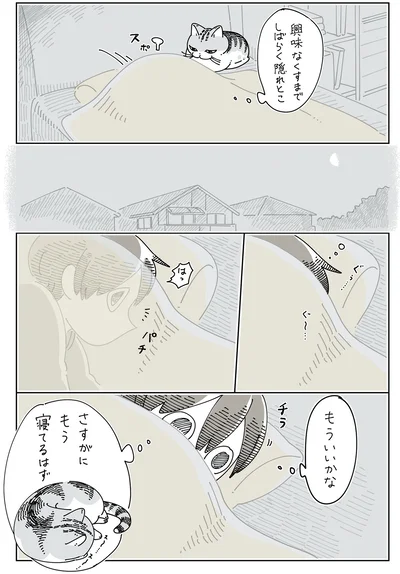 さすがにもう寝てるはず