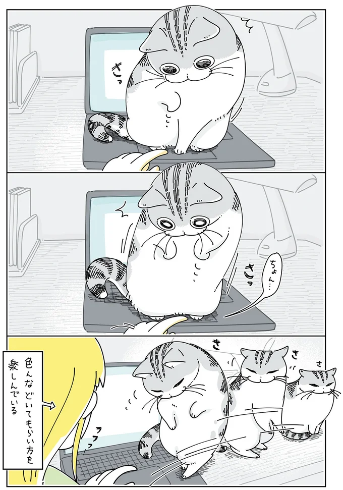 色んなどいてもらい方