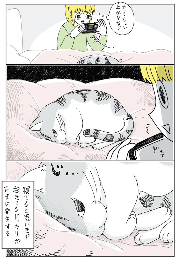目が合って…