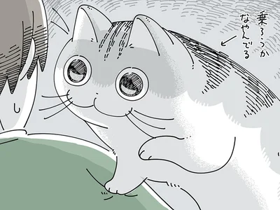 迷っているなぁ