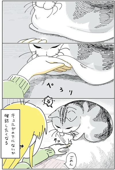 お腹の下には