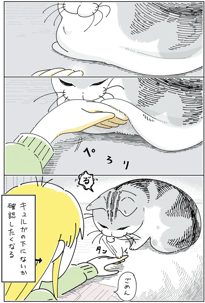 お腹の下には