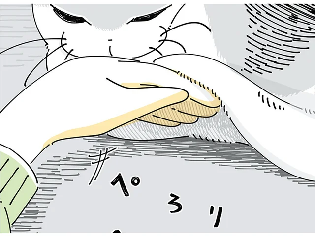 ごめんて！ 小物をなくした際についつい探してしまうのはネコのお腹の下