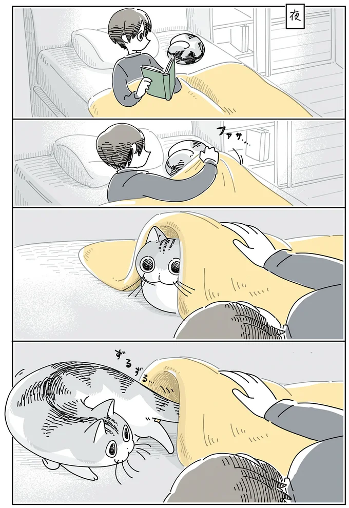 夜、布団をかけてみると