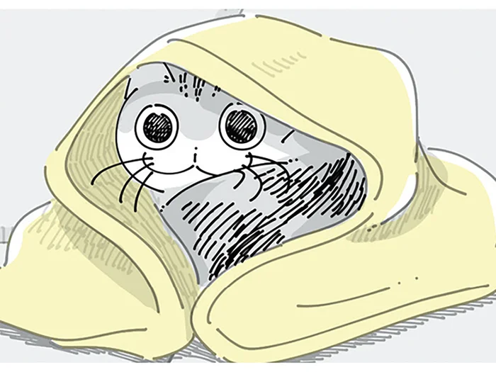 ふとんをかけるとどいちゃう。寒そうにしているネコへの気遣いは無用？