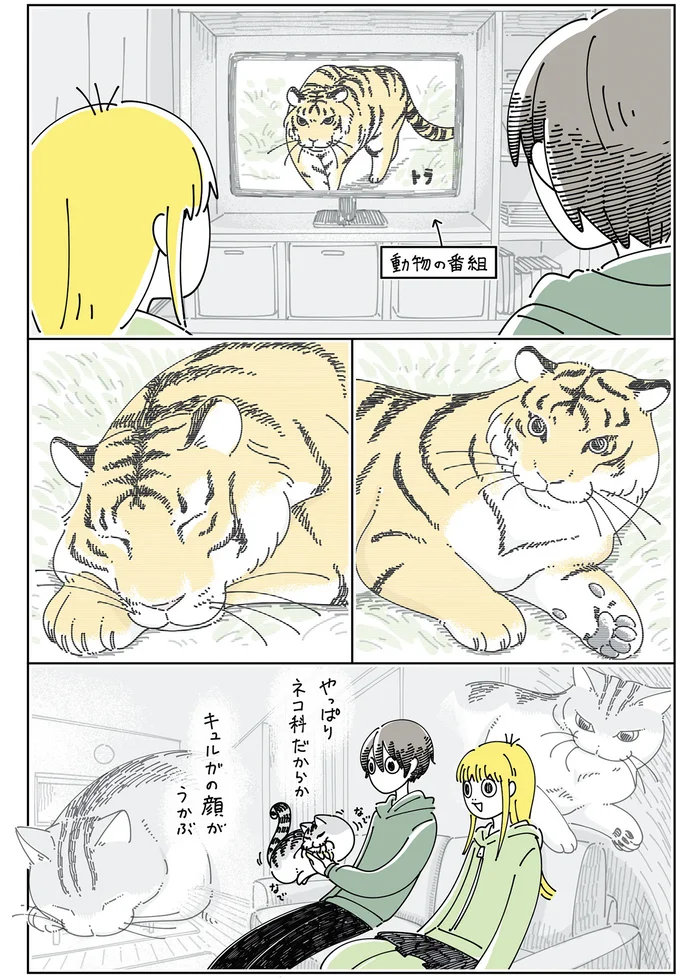 動物の番組を見ていると