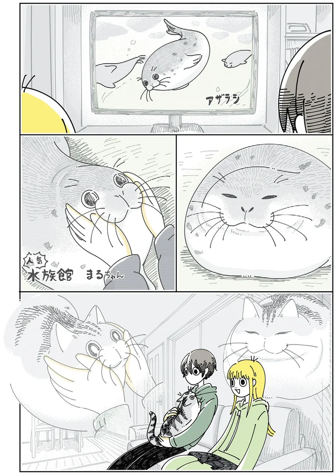 アザラシを見ていると