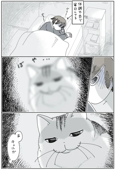 体調不良の飼い主の横に