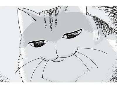 その顔はどういう感情？