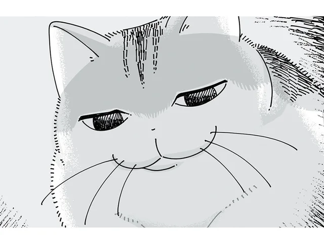 体調不良で寝込む飼い主のもとへ現れたネコ。絶妙な表情は何を思っている？