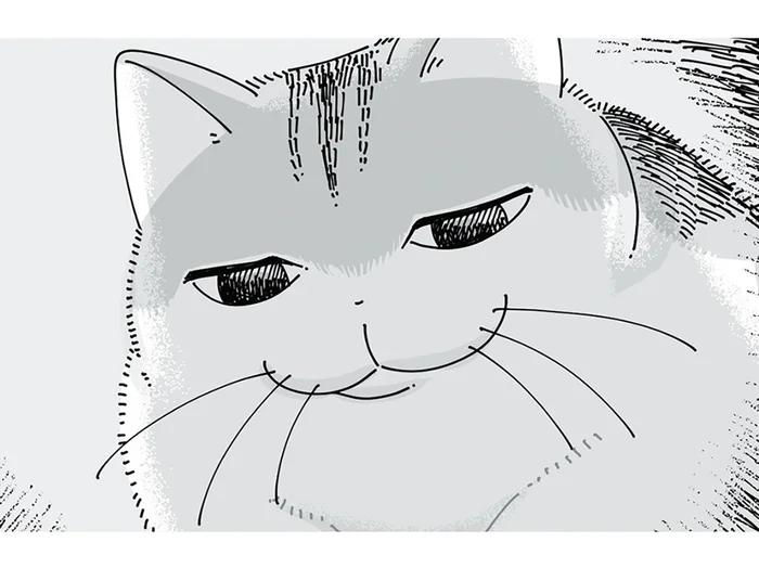 体調不良で寝込む飼い主のもとへ現れたネコ。絶妙な表情は何を思っている？
