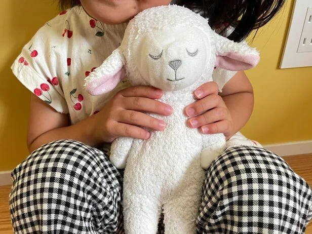 白さを取り戻したぬいぐるみ！使用した塩はというと（▶次へ）