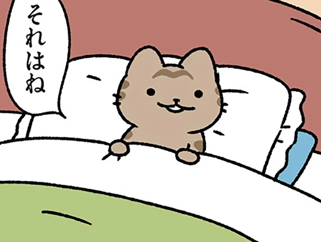 【赤ずきんとねこ】「ねぇ、どうして？」赤ずきんの質問に、ねこはどう答える？