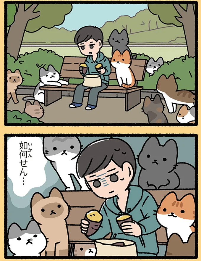 『ねこむかしばなし』より
