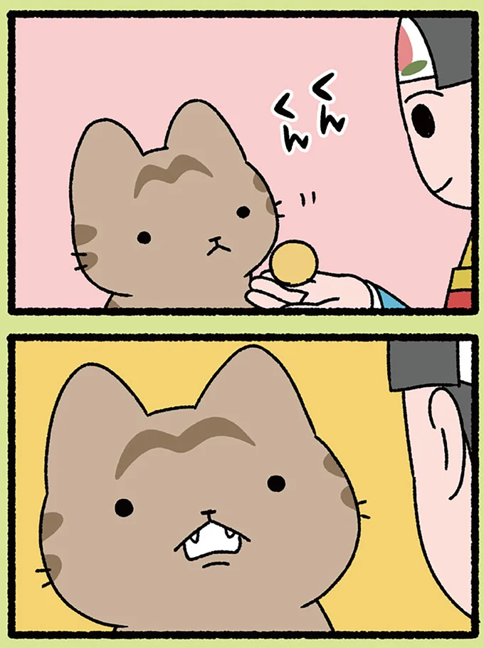 『ねこむかしばなし』より