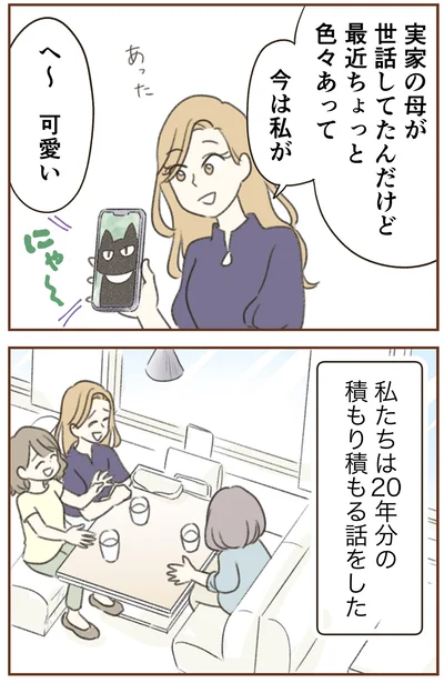 積もり積もる話をした