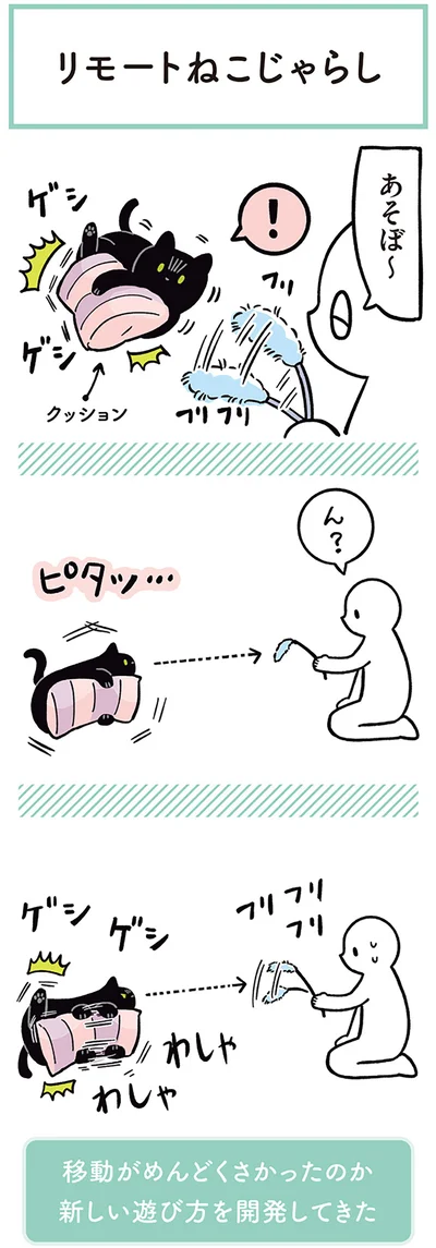 『黒猫ろんと暮らしたら２』より