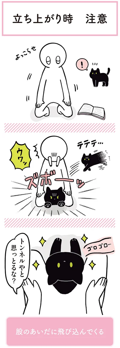 『黒猫ろんと暮らしたら２』より