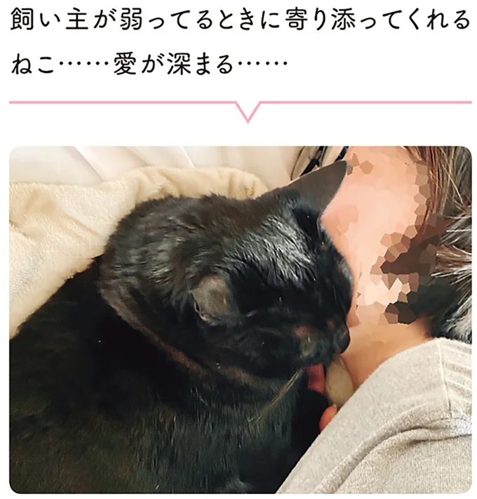 『黒猫ろんと暮らしたら２』より