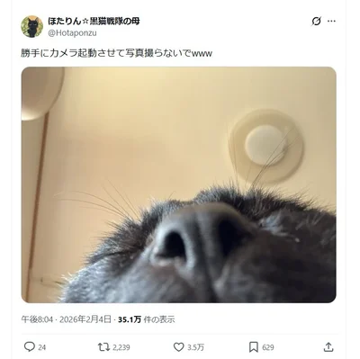 猫ちゃんの自撮り▶本当はもっと可愛いんです！笑（⇒次へ）