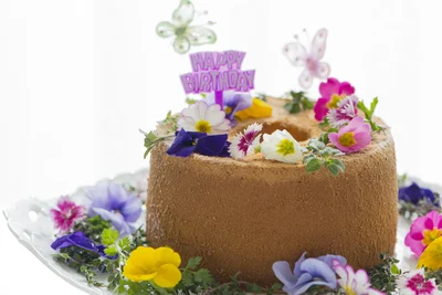 ケーキの彩り？ いえいえ、この花も食べられます！