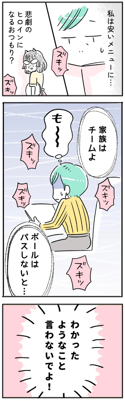 わかったようなこと言わないでよ！