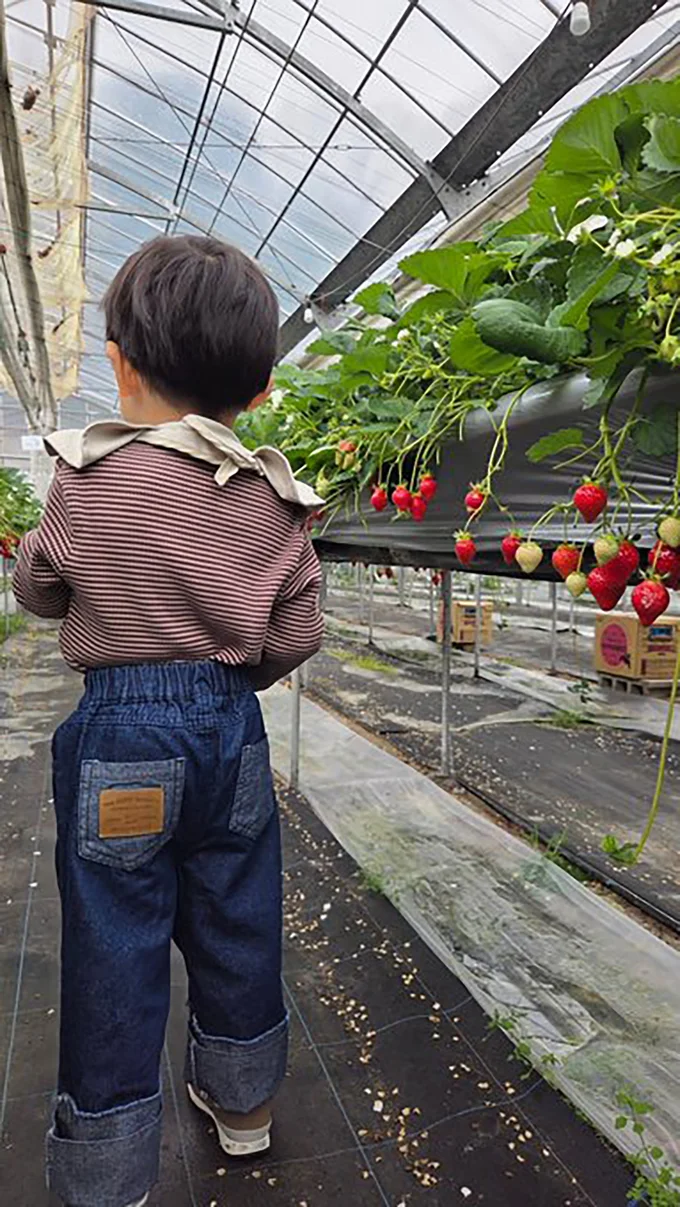 いちご狩りを楽しむお子さん▶ひんやりスイーツ（⇒次へ）