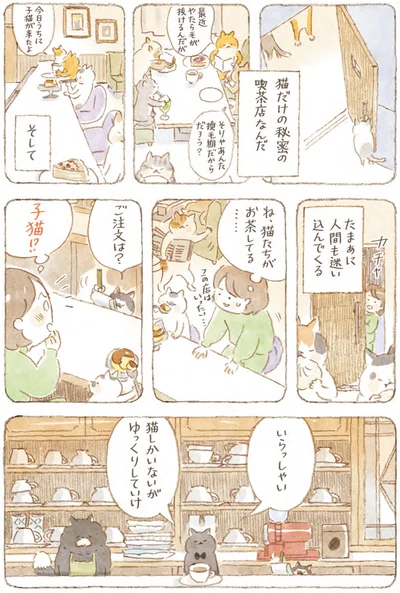 『深夜3時のくろねこ喫茶』より