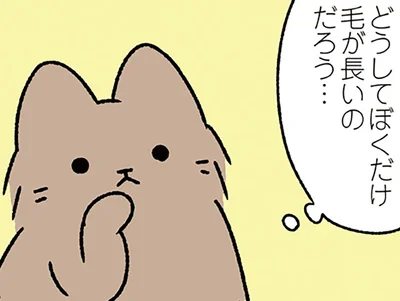 【みにくいアヒルの子なねこ】素朴な疑問。どうして自分だけ容姿が違うんだろう
