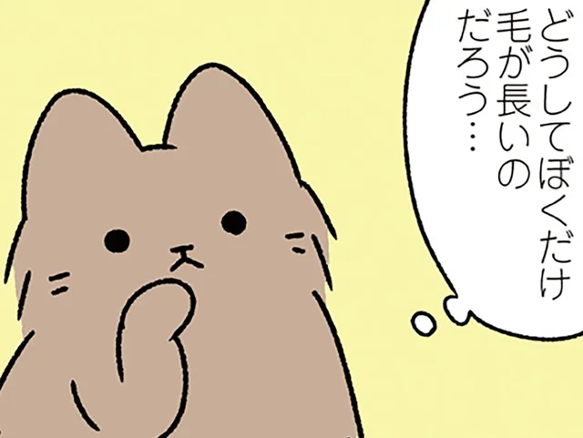 【みにくいアヒルの子なねこ】素朴な疑問。どうして自分だけ容姿が違うんだろう