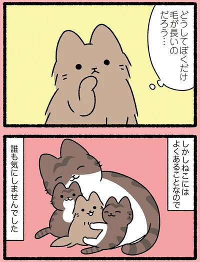 ねこにはよくあることなので