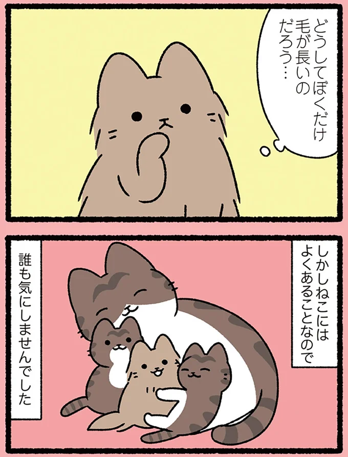 ねこにはよくあることなので