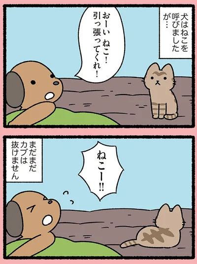 ねこー!!